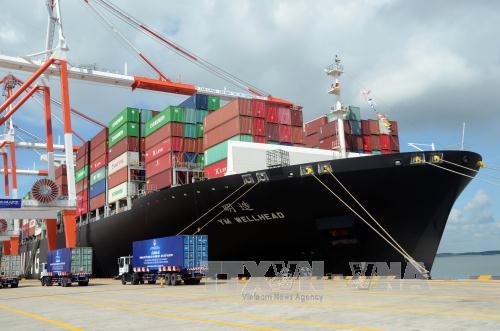 Dịch vụ vận tải đường biển - Công Ty TNHH Vận Tải Lâm Phát